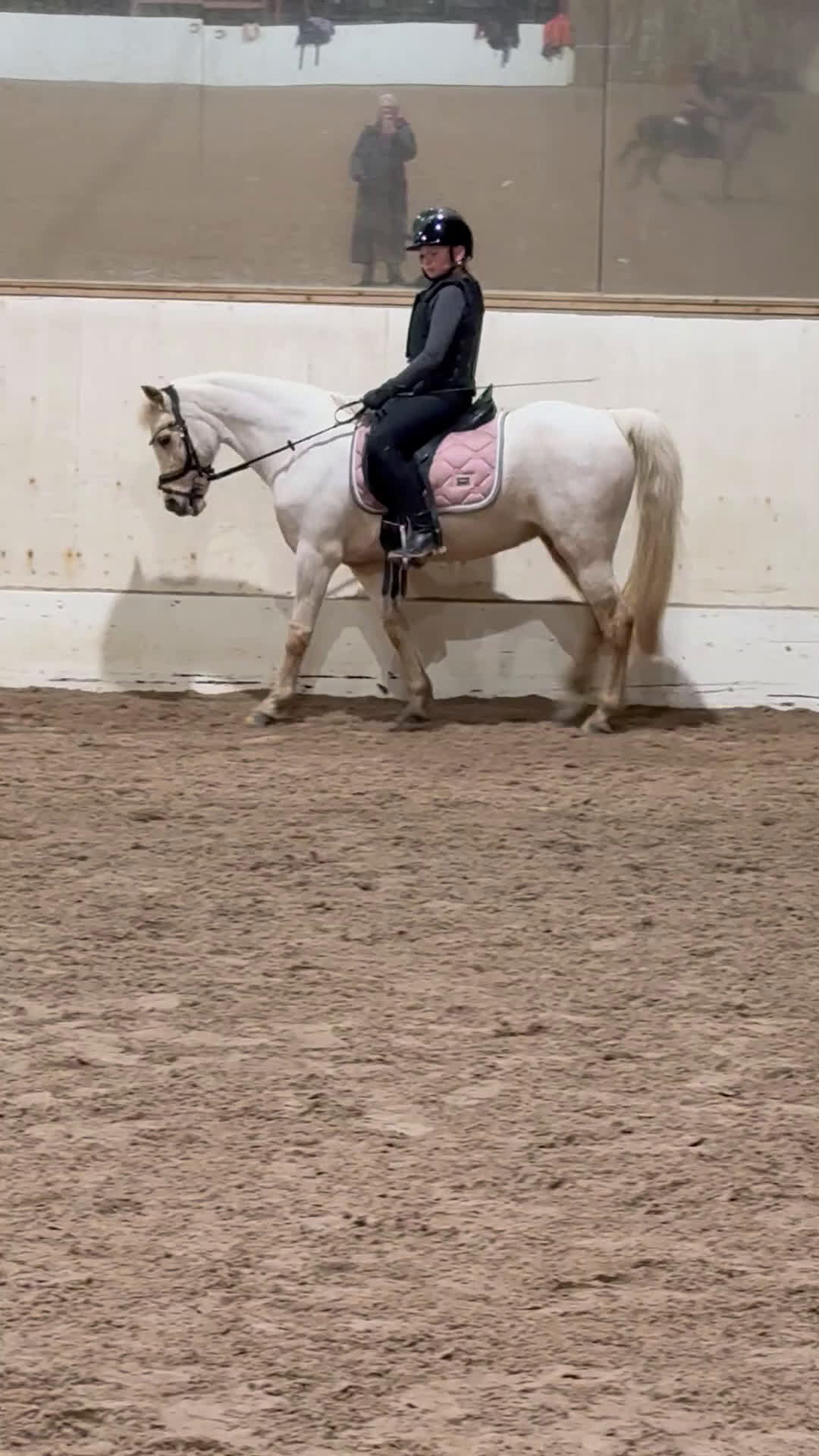 Allround hästar till salu: Bästa vän & läromästare - Video 4