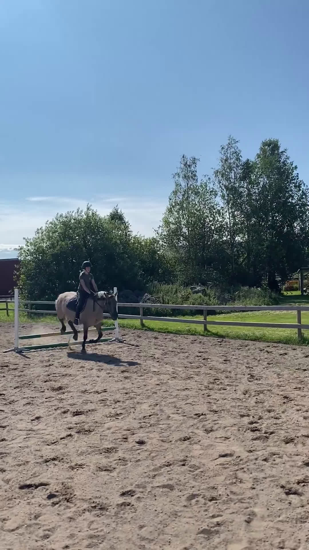  medryttarhäst sökes: SÖKER MEDRYTTARHÄST  i Uppsala - Video 4