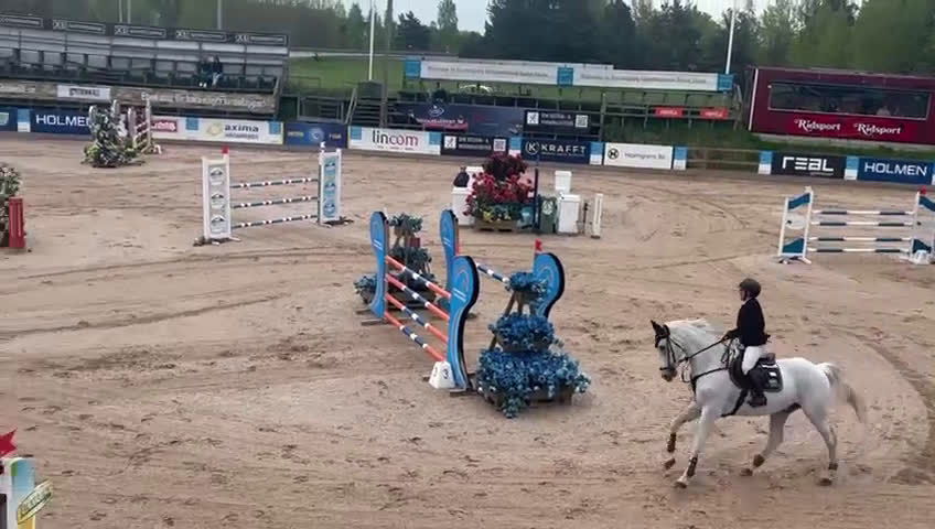 Hoppning hästar till salu: Bästa Jalapeno! i Kimstad - Video 4