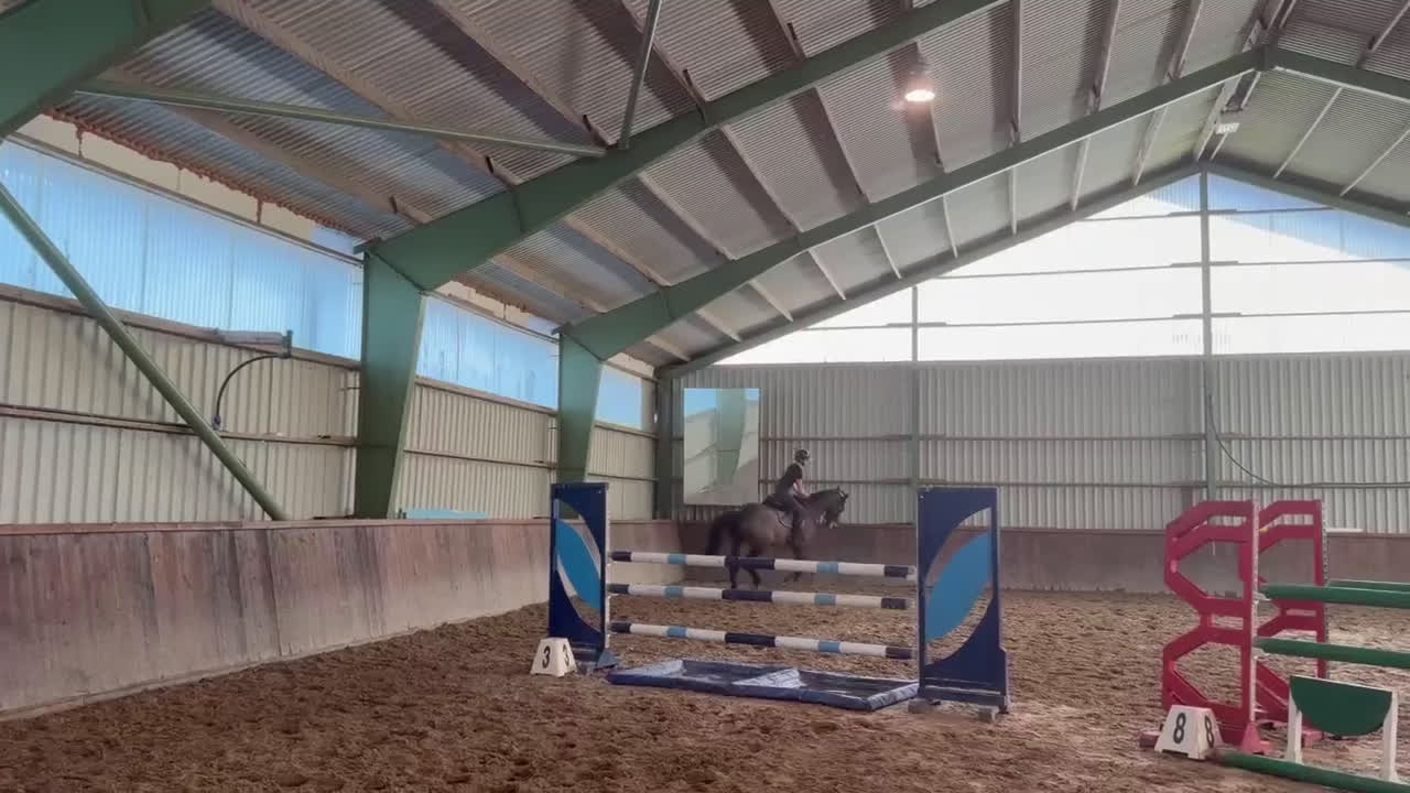 Hoppning hästar till salu: Trevlig val e hiphop med rutin 130 - Video 3