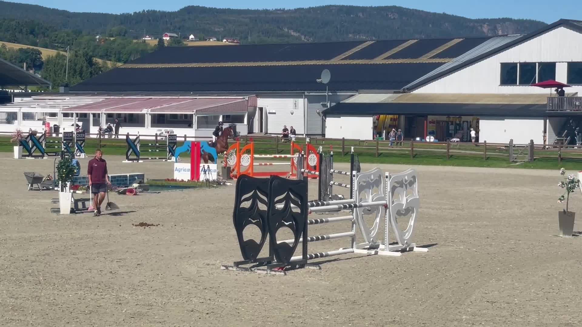 Hoppning hästar till salu: Hopphäst med mycket kapasitet - Video 1