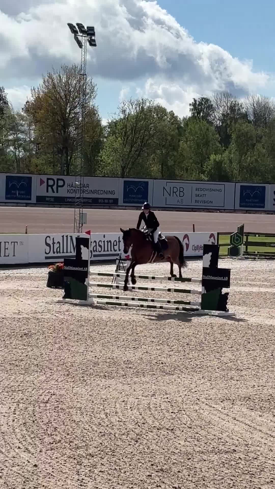 Hoppning hästar till salu: Valack f-22 Arezzo VDL-Indoctro - Video 1