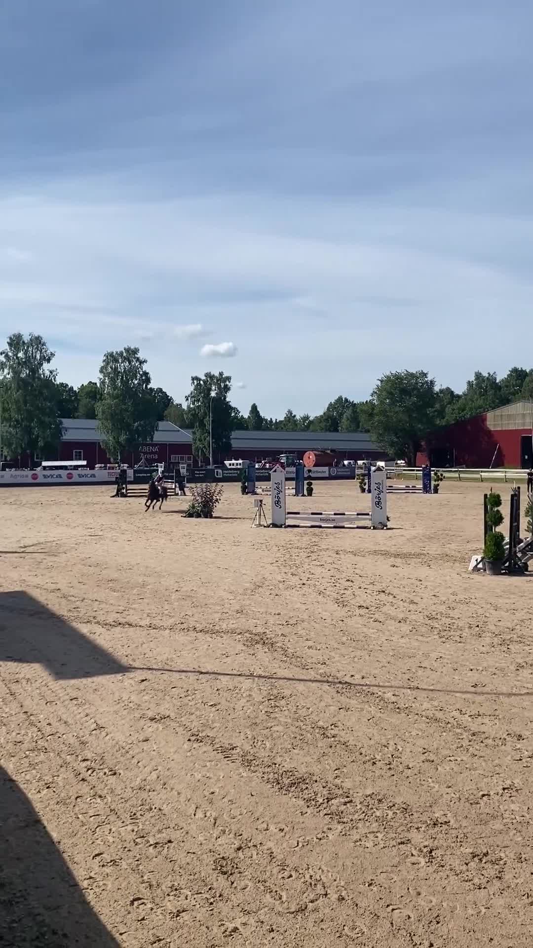 Allround hästar till salu: Fin B-ponny  - Video 5