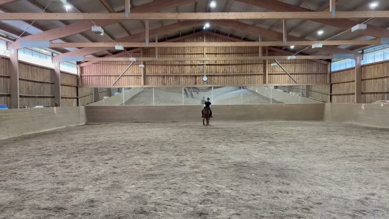 Dressyr hästar till salu: Läromästare dressyr i Alingsås - Video 1