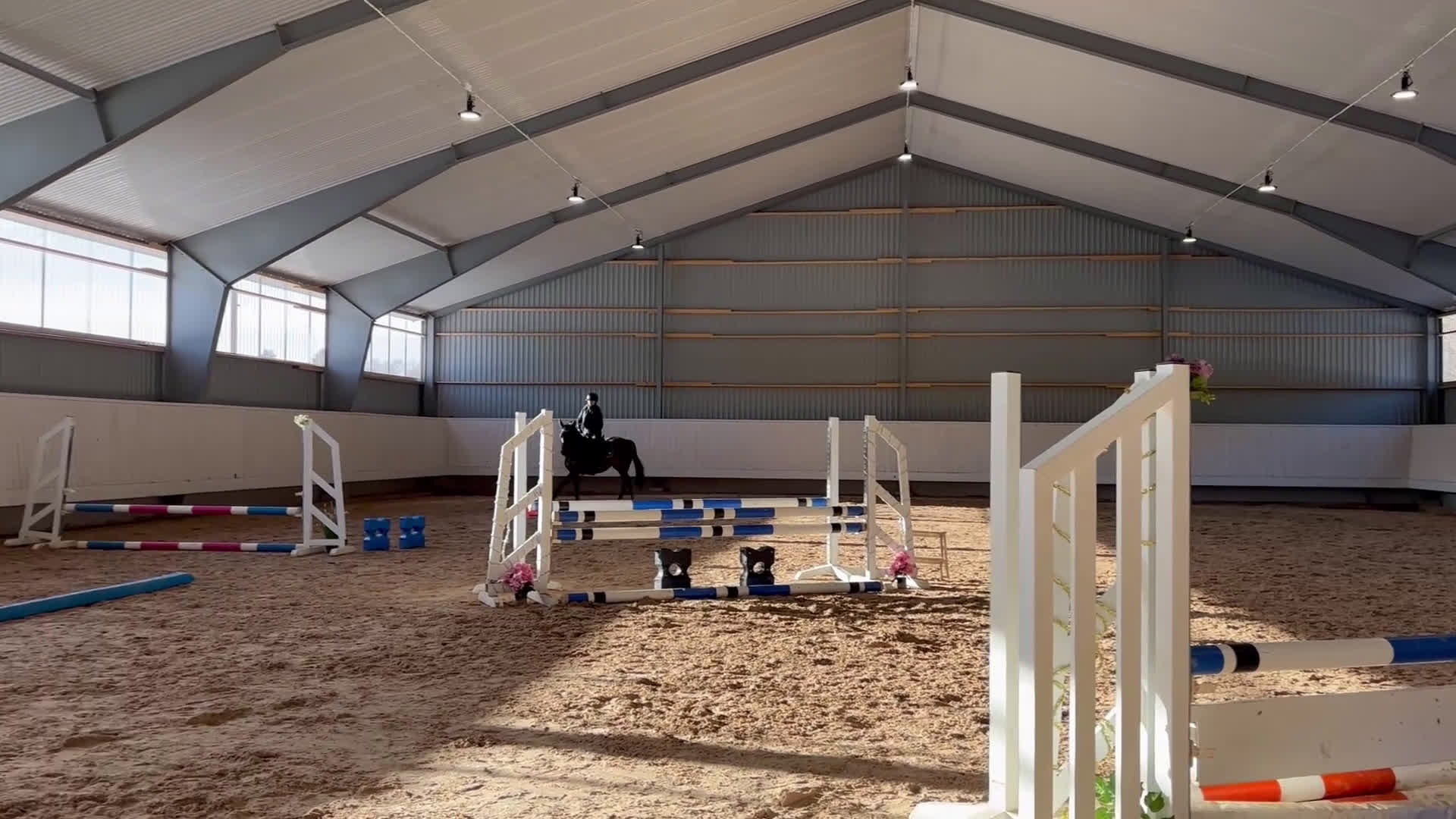 Hoppning hästar till salu: Vacker och ädel 5-åring - Video 1