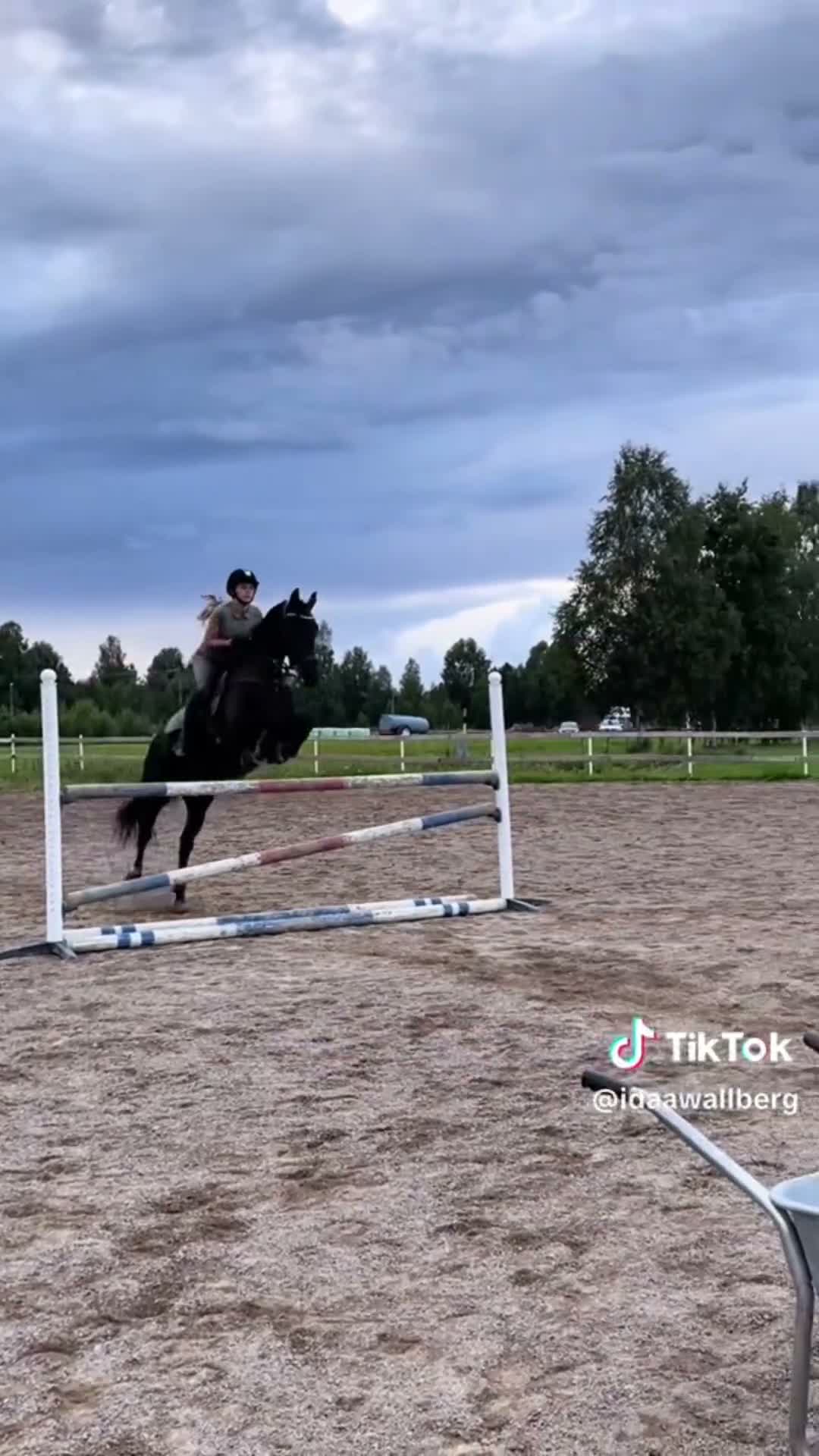 Allround hästar till salu: Svart pärla söker nytt hem 🖤 i Borlänge - Video 2