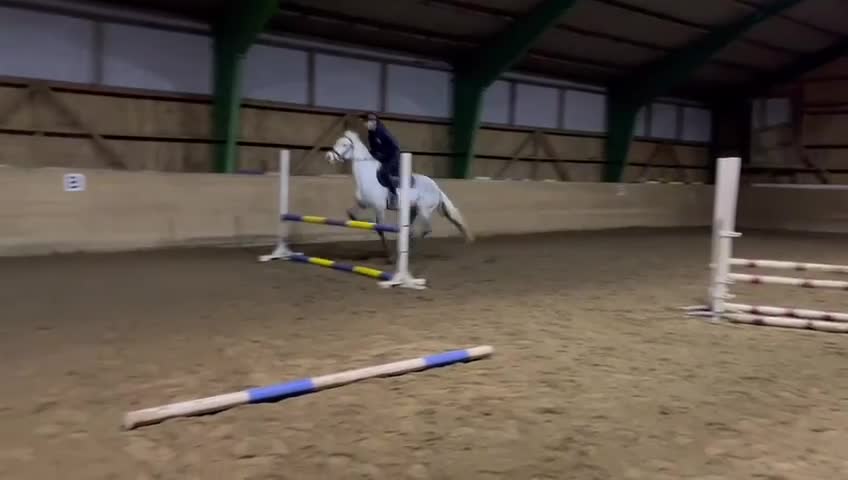  hästservice finnes: Utbildning/tillridning/försäljning/tävling i Stora Mellösa - Video 4