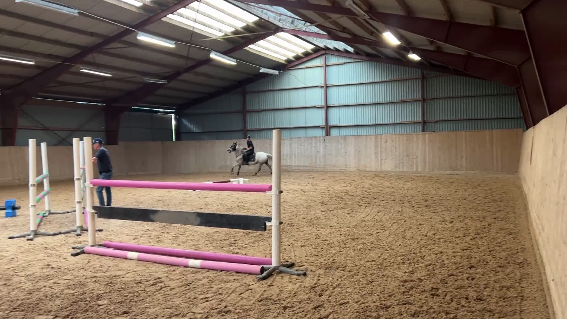 Hoppning hästar till salu: Balla Bella söker ny kompis! - Video 4