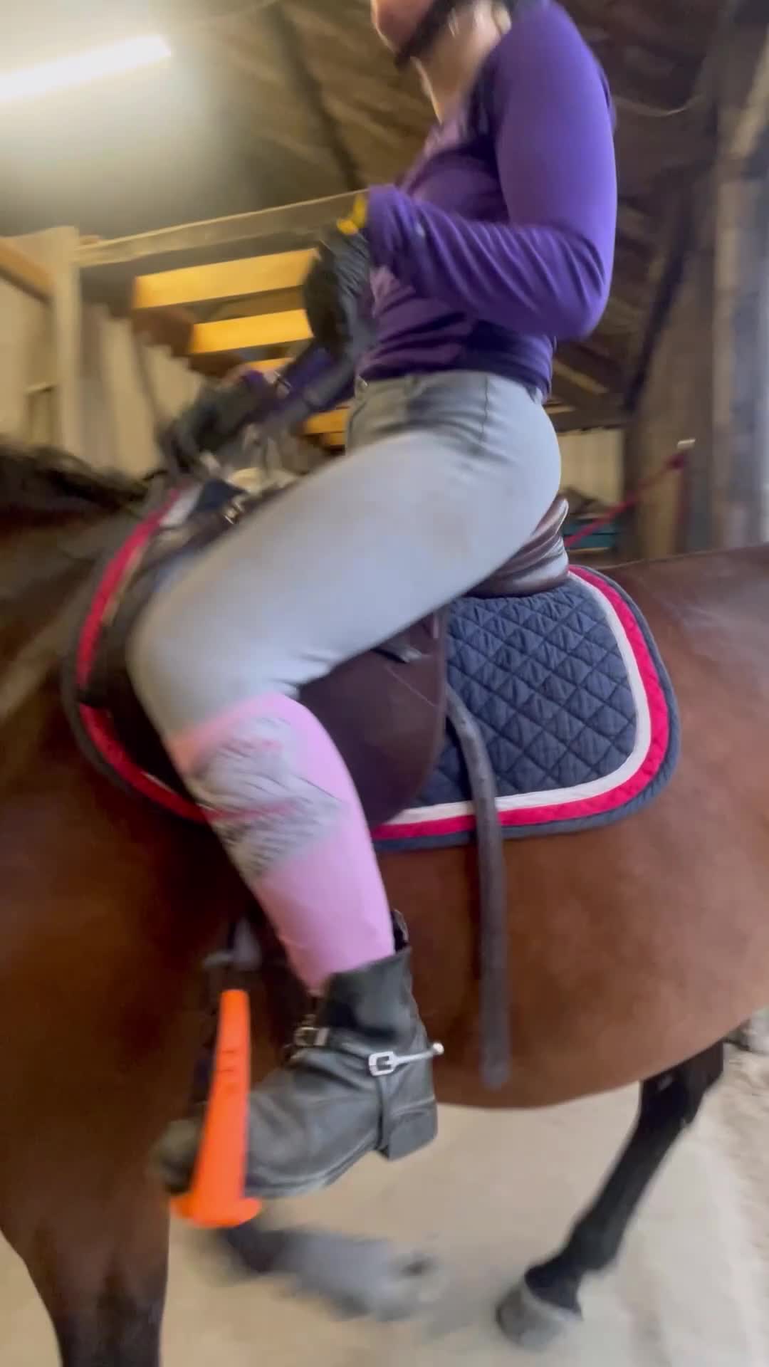Hoppning hästar till salu: Tävlingshäst och snyggt selektionssto - Video 5