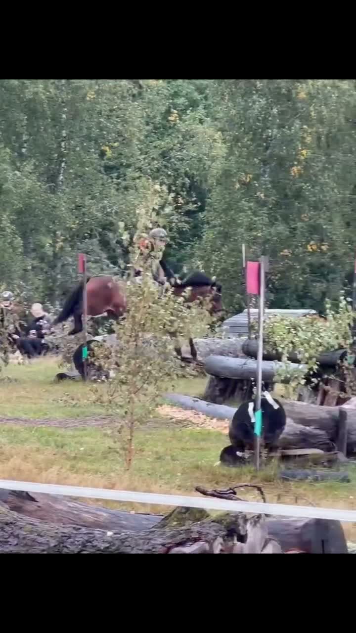 Allround hästar till salu: Meriterad tävlingsponny med enorm tävlingsvilja  - Video 1