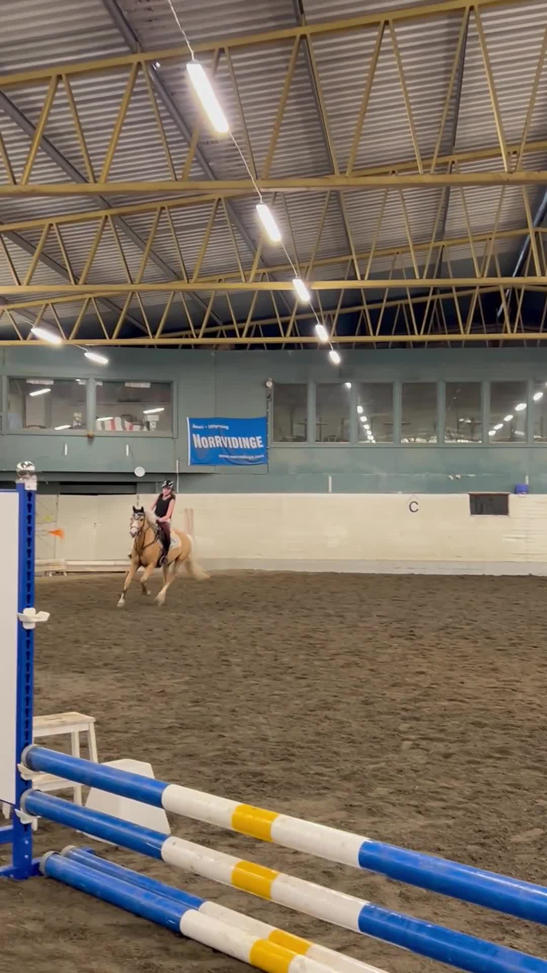 Allround hästar till salu: Svenskfödd welsh C-ponny i Södra Sandby - Video 1