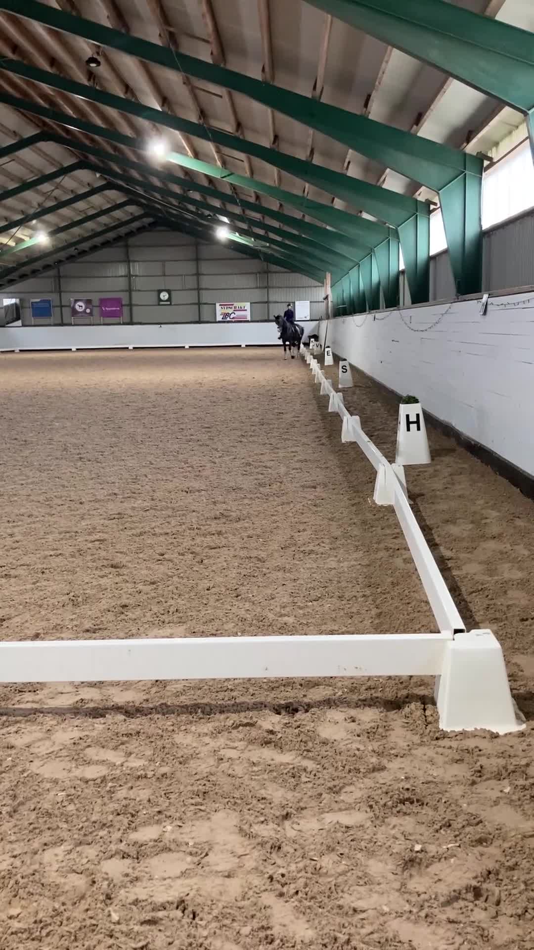 Dressyr hästar till salu: Stilig valack i Jonstorp - Video 5