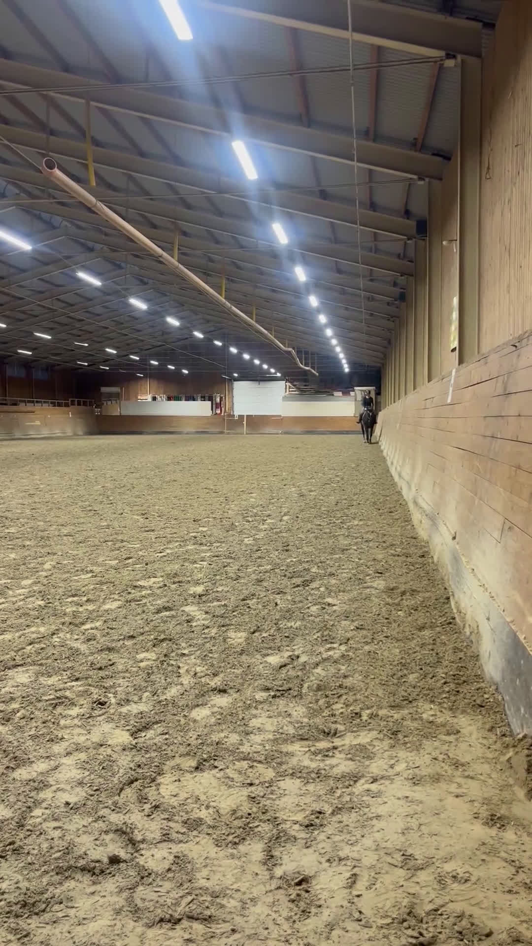 Övrigt hästar till salu: Vackert holländskt sto i Sölvesborg - Video 1