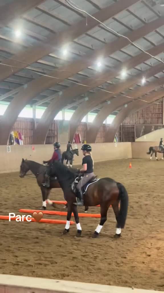 Allround hästar sökes: Söker allround bästa vän💖 - Video 1