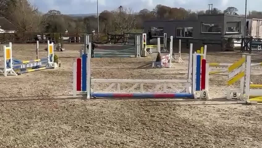 Hoppning hästar till salu: Ljuvlig B ponny ⭐️ i Valbo - Video 2