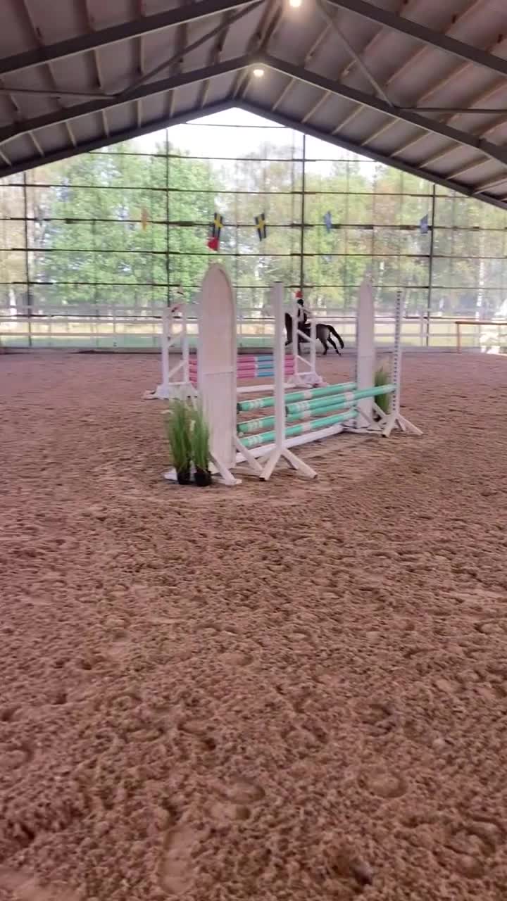 Hoppning hästar till salu: Underbar maxad c-ponny!  - Video 2