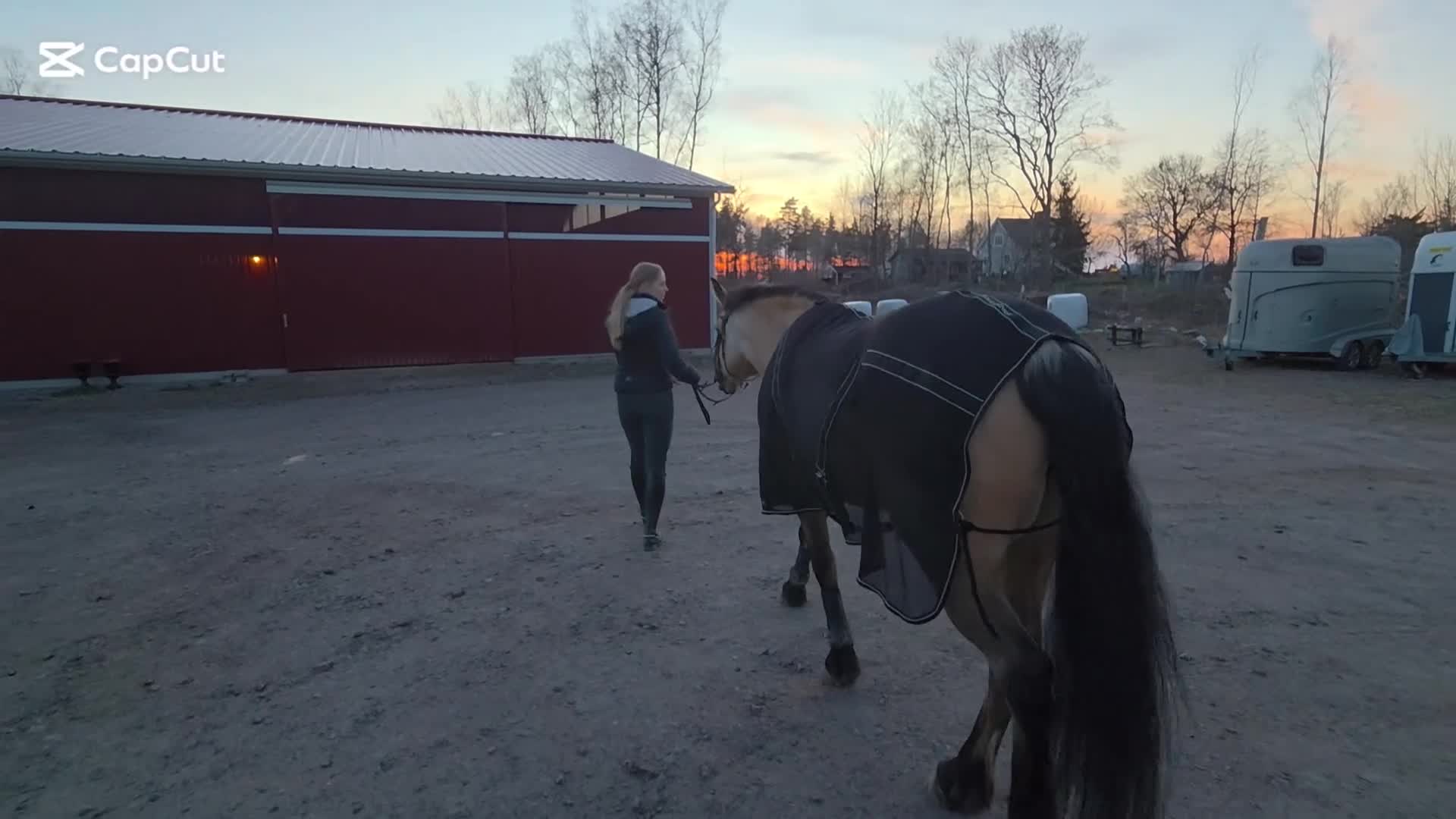 Allround hästar till salu: ⭐️Rutinerat d-ponnysto söker nytt hem⭐️ i Värsås - Video 4