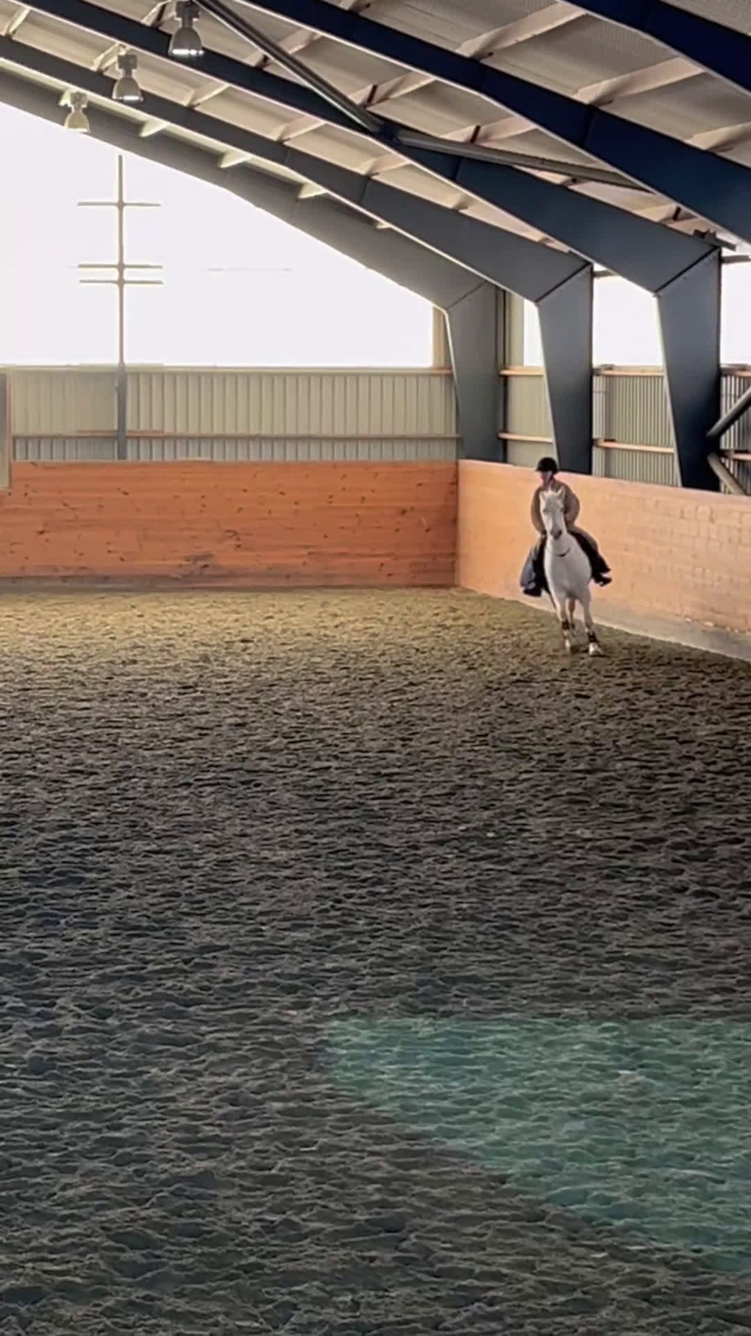 Allround hästar till salu: Drömponny redo för nya äventyr 🦄 i Vallda - Video 2