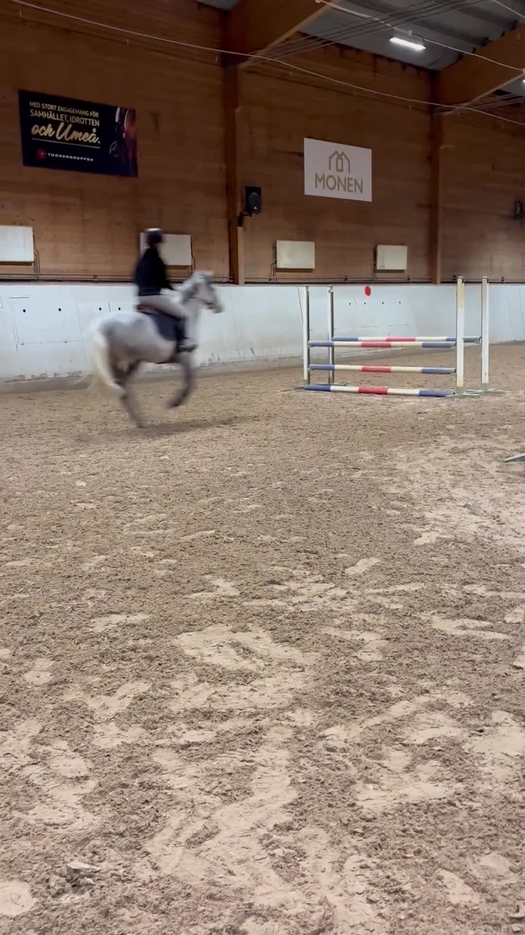 Hoppning hästar till salu: Talangfull c-ponny  i Arnäsvall - Video 2