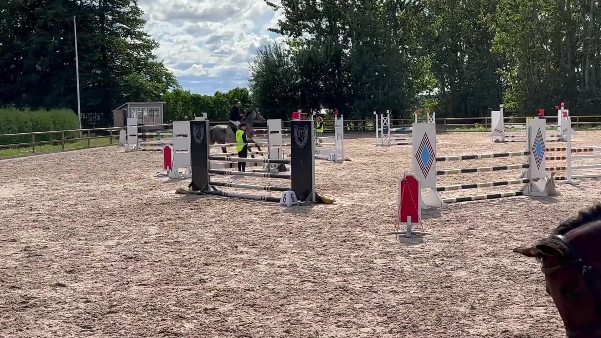 Hoppning hästar till salu: Killen med hjärtat på helt rätt ställe! - Video 1