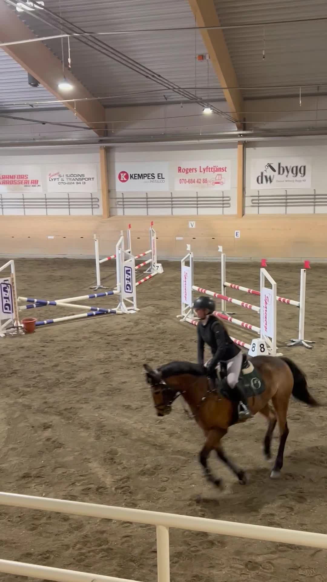 Hoppning hästar till salu: 🇮🇪 Hopponny med tryck 🇮🇪 - Video 1