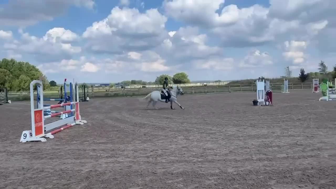 Hoppning hästar till salu: Rutinerad tävlingsponny - Video 2