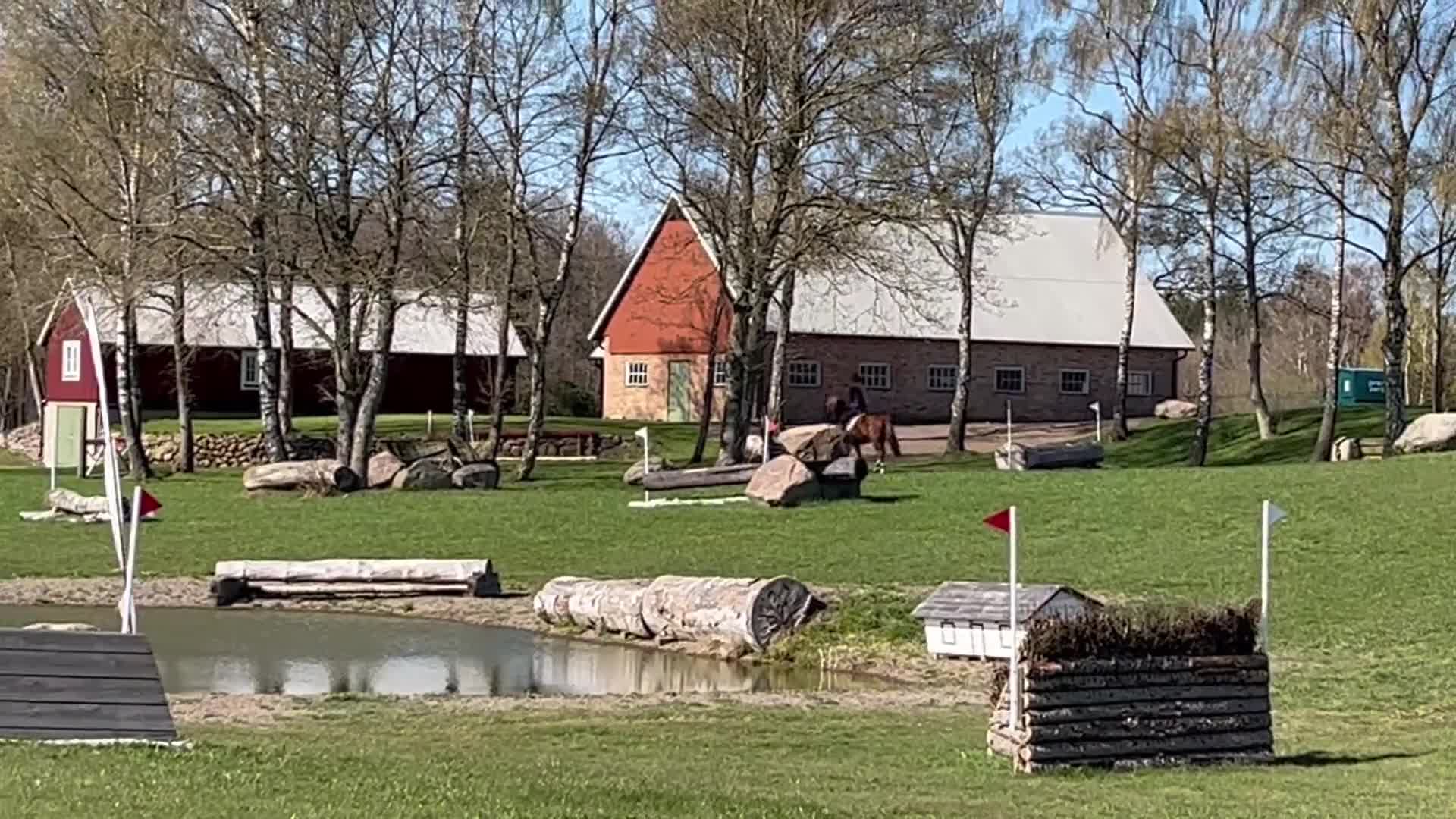 Allround hästar till salu: Totoro - en häst som gör dig glad varje dag💕 - Video 1