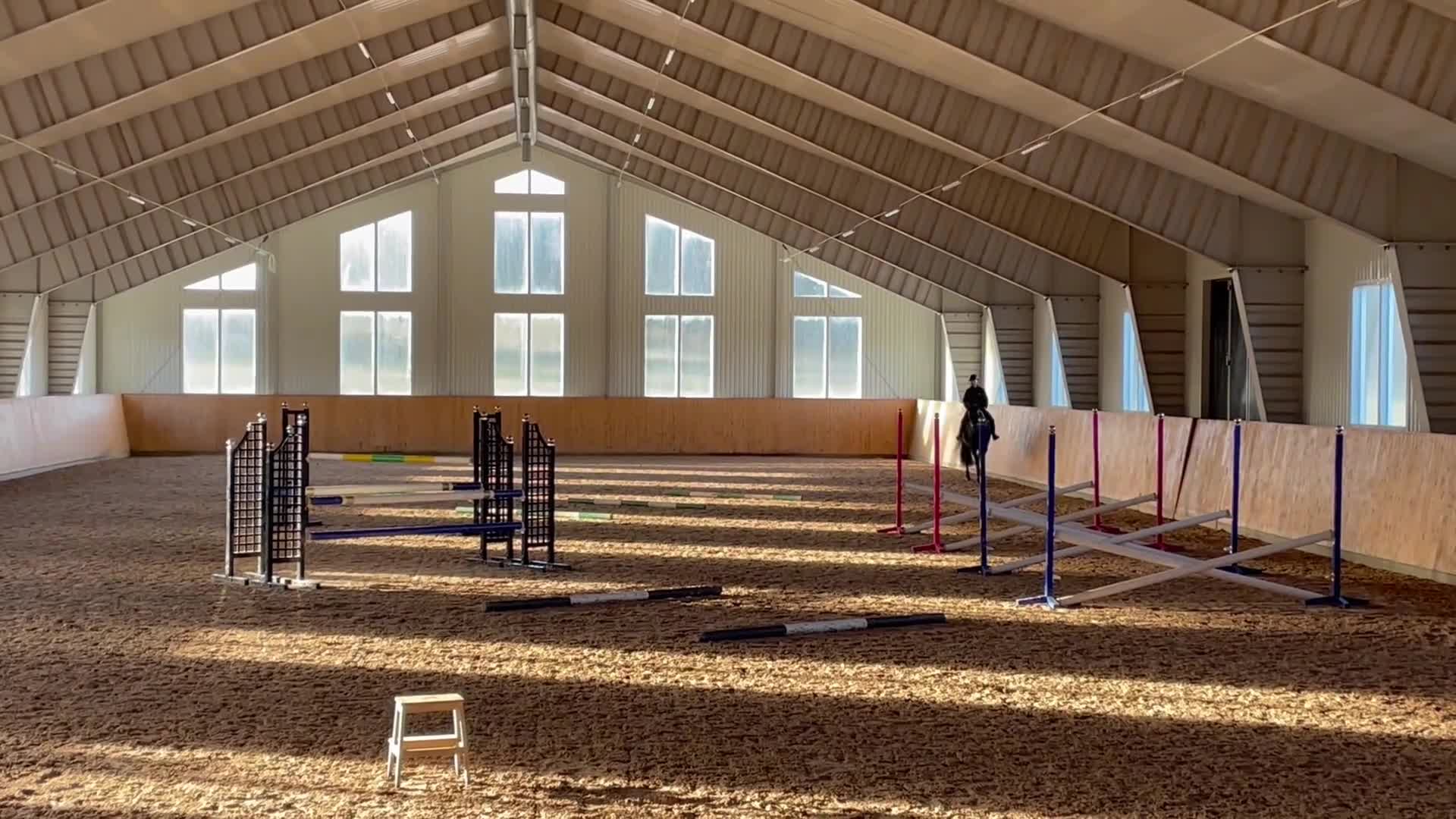Hoppning hästar till salu: Snygg allround häst - Video 2