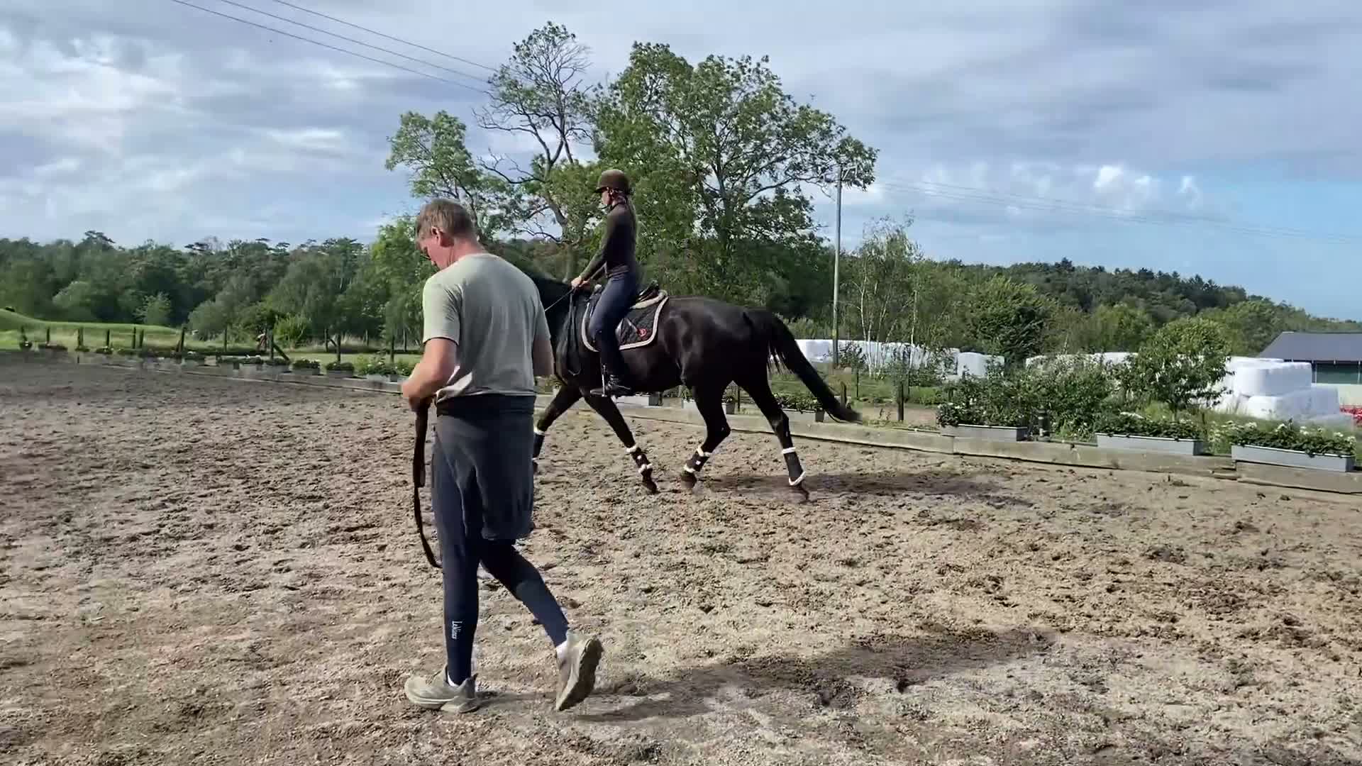 Dressyr hästar till salu: Du som vill satsa  - Video 1
