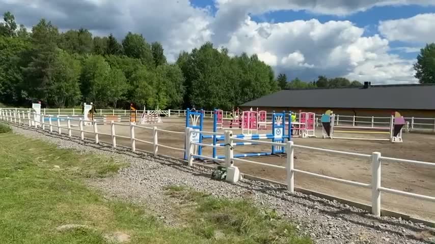 Allround hästar till salu: Trevlig SWB valack - Video 4