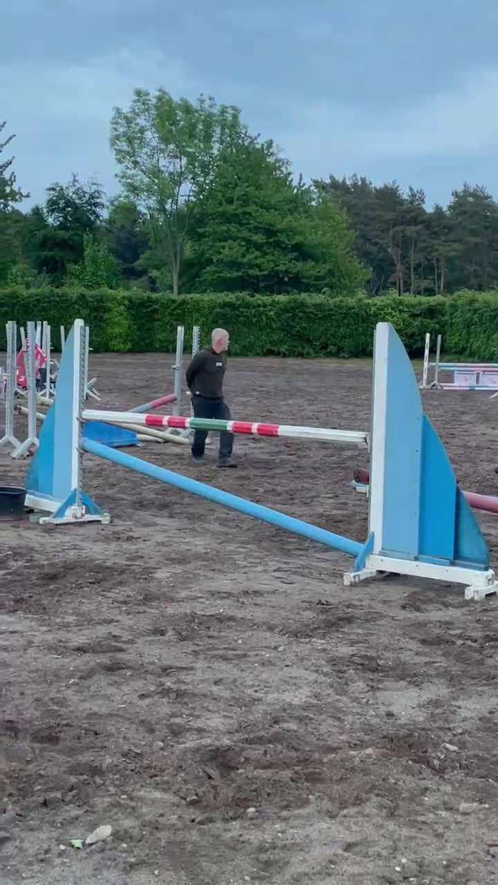 Hoppning hästar till salu: Fantastisk sød lærermester   - Video 2