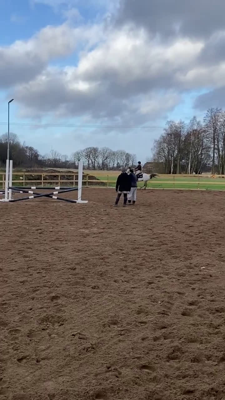 Övrigt hästar till salu: Vill du bli Smokeys nya bästis?  i Viken - Video 1