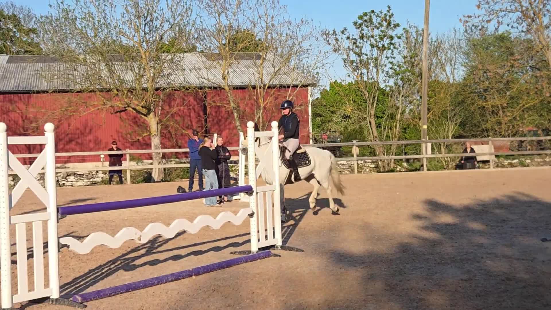 Allround hästar till salu: Första tävlingskompis och bästa vän. - Video 2