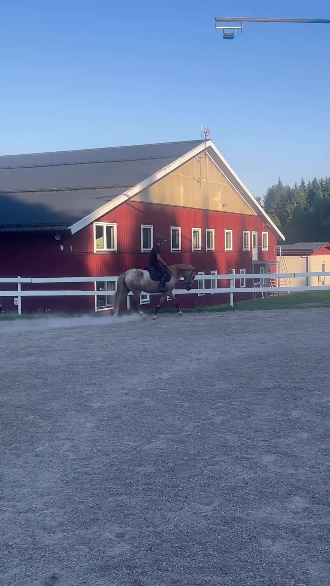 Hoppning hästar till salu: Snäll och mysig ponny med power  i Åmål - Video 2
