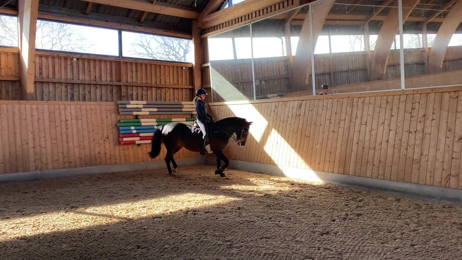 Allround hästar till salu: Charmigt D-ponny Sto i Helsingborg - Video 1