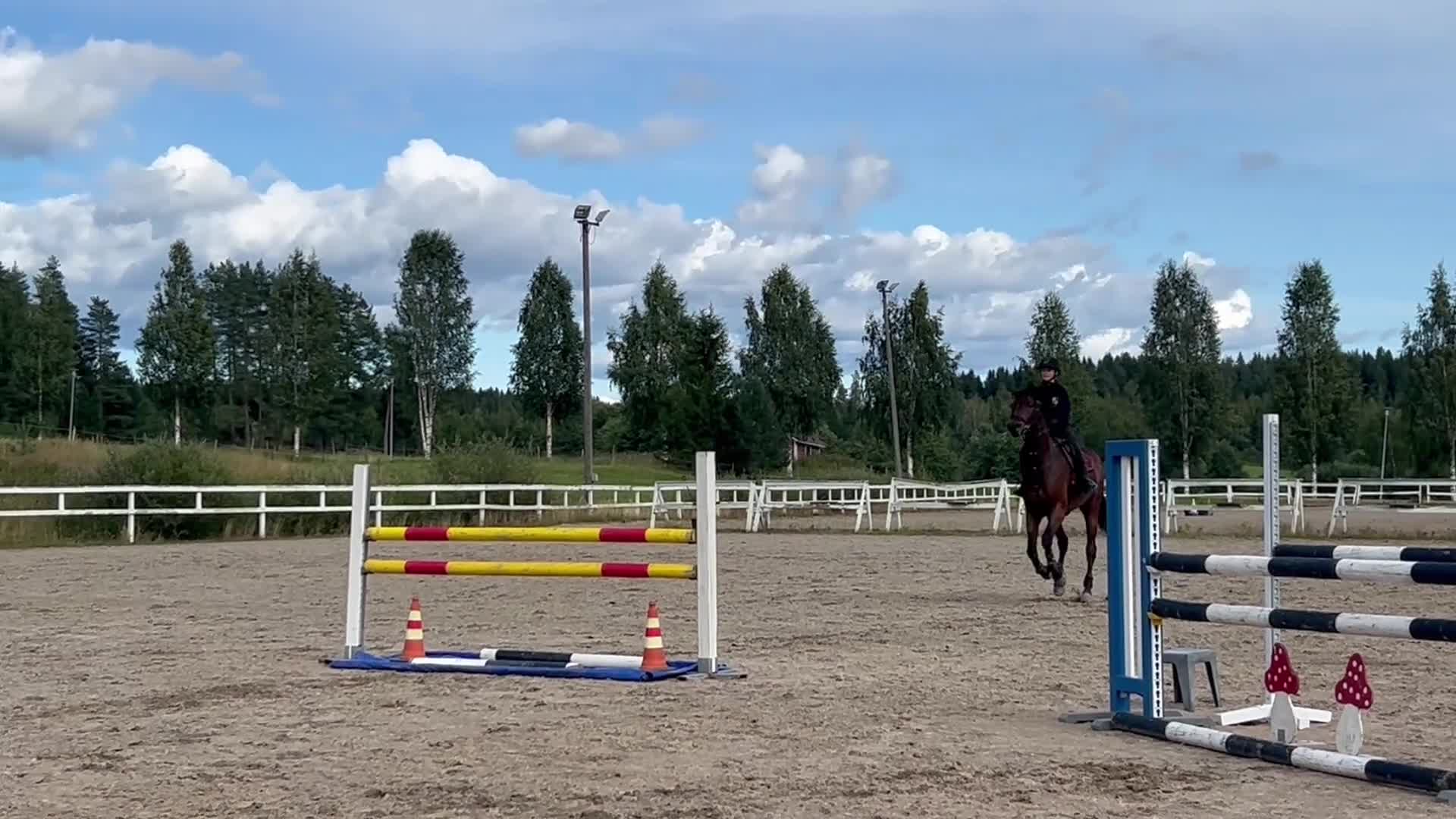 Hoppning hästar till salu: 5-years-old show jumping horse i Kiuruvesi - Video 2