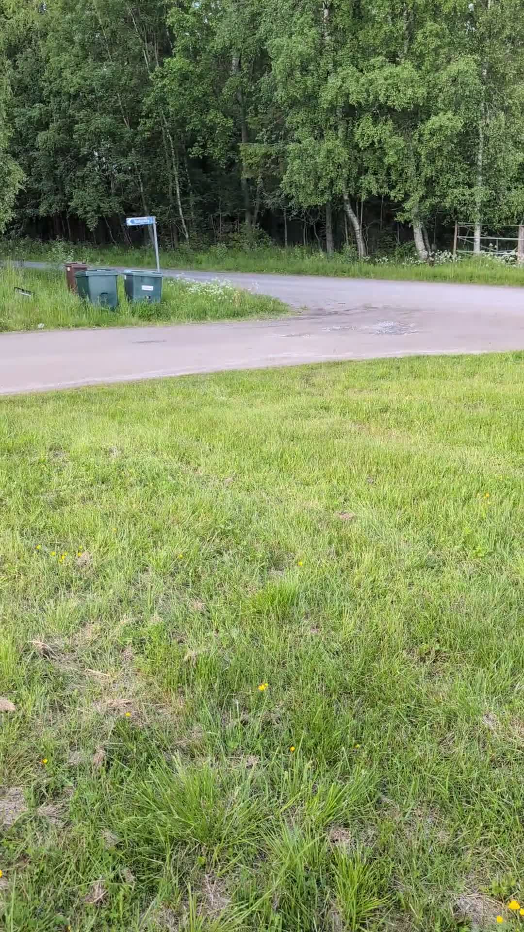 Allround hästar till salu: Superfin kallblodstravare till hobbyridning - Video 2