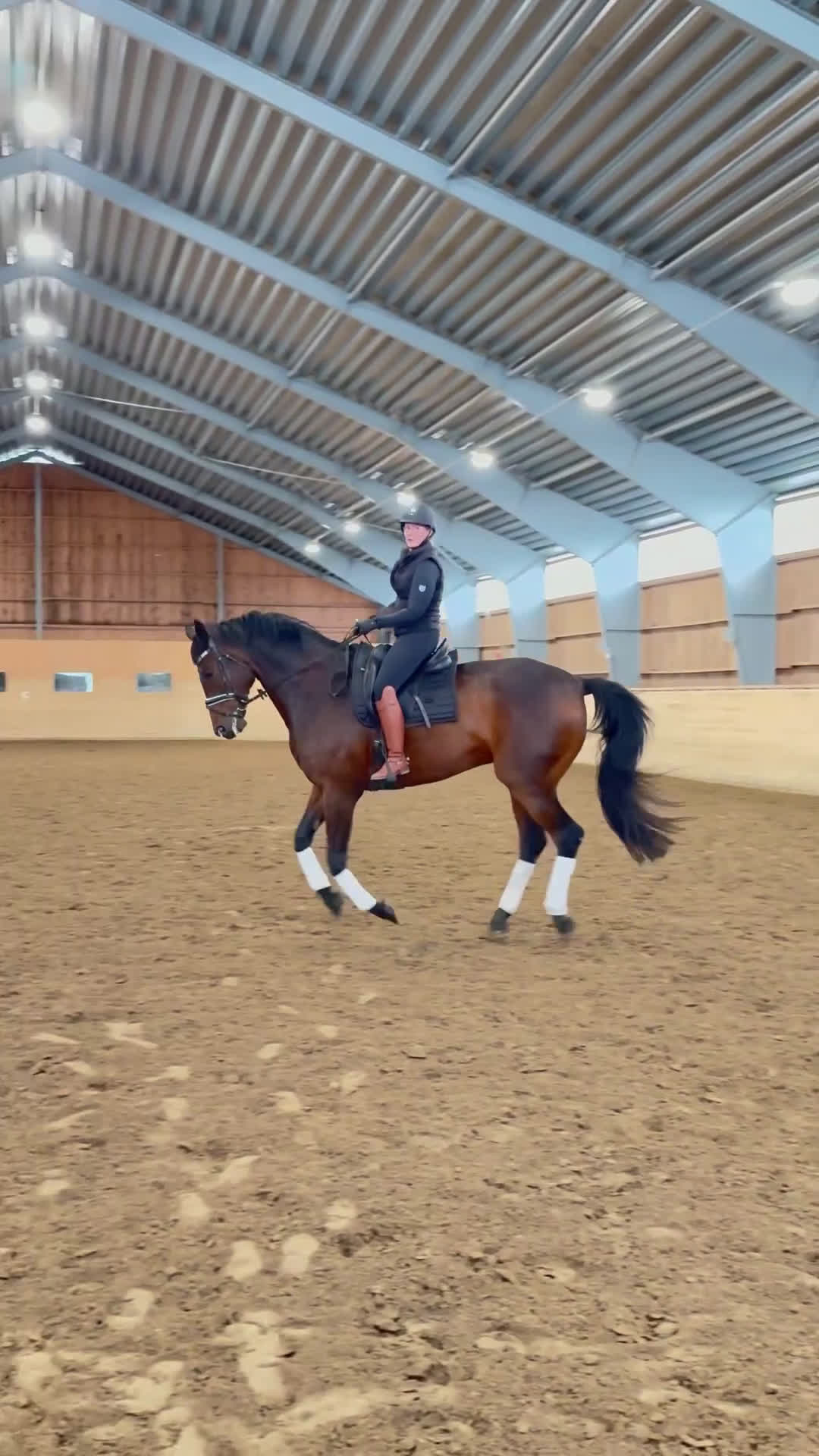 Dressyr hästar till salu: Snygg Dressyrhäst  i Märsta - Video 3