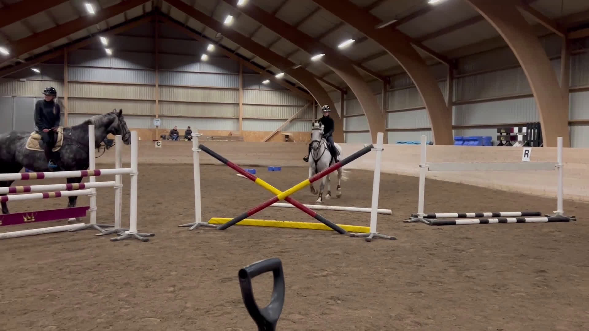 Allround hästar till salu: Världens snällaste läromästare i Romakloster - Video 1