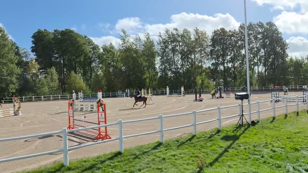 Hoppning hästar till salu: Rosettplockare söker sin nya bästa vän! - Video 2