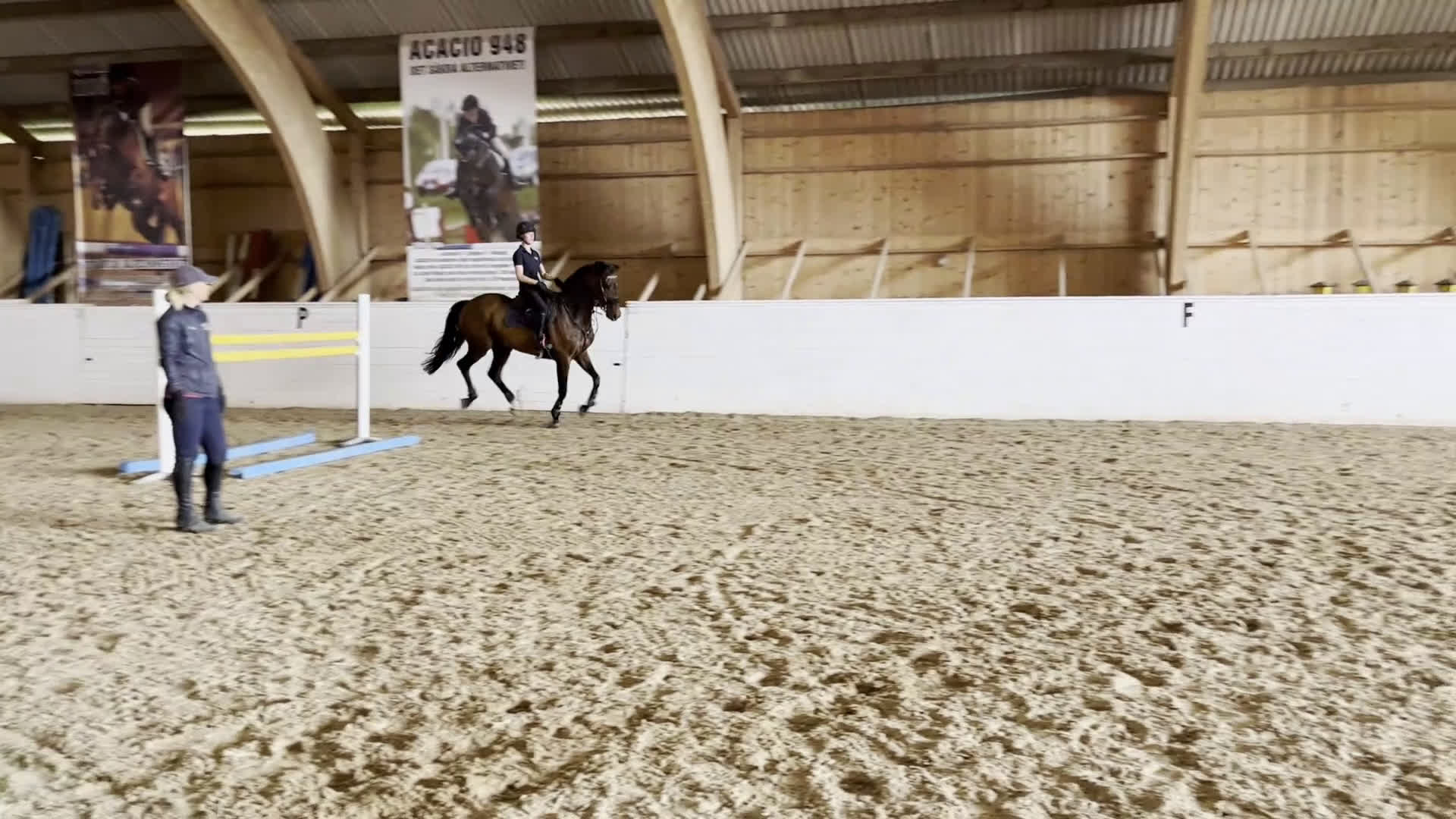 Avelshästar hästar till salu: Fantastiskt fint avelssto - Video 4