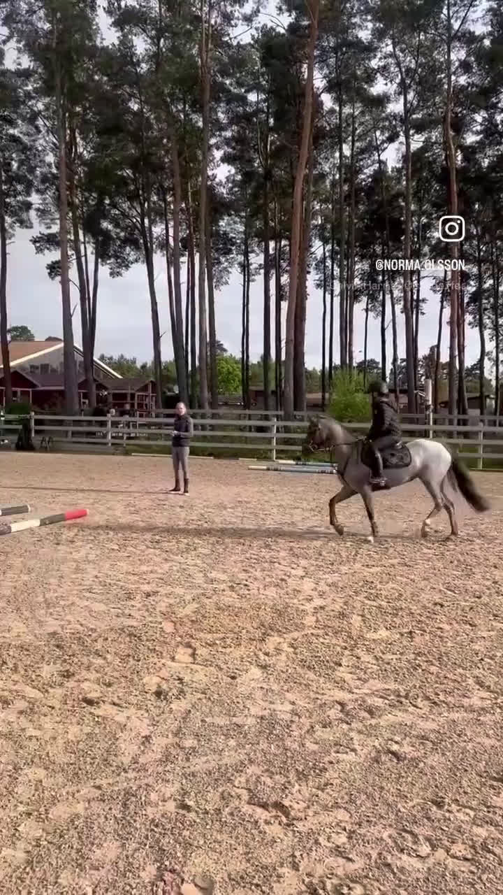 Allround hästar till salu: ✨ Fantastisk welshponny ✨ i Bromölla - Video 3