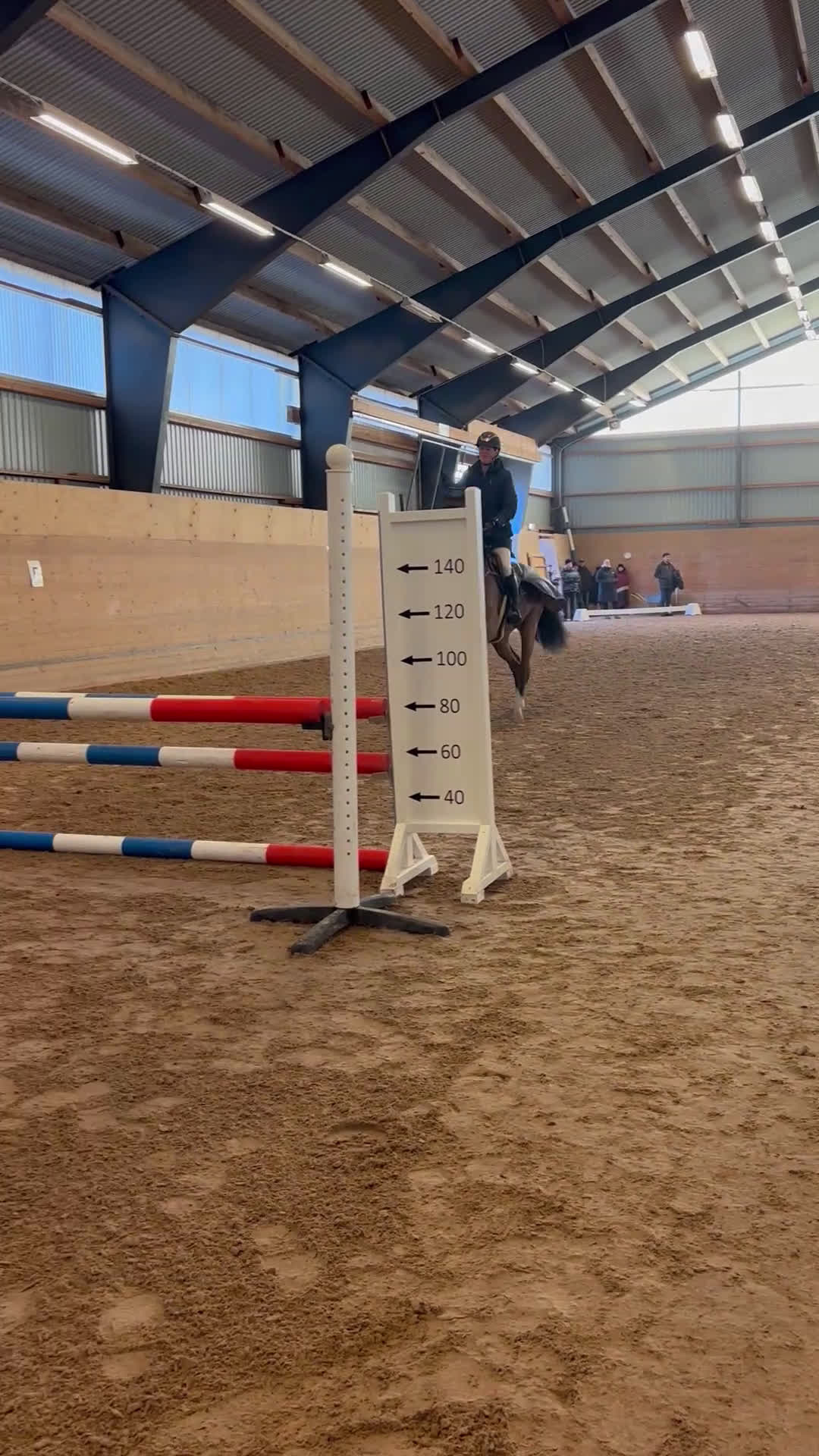 Hoppning hästar till salu: 4år e: Hardrock Z i Åtvidaberg - Video 1