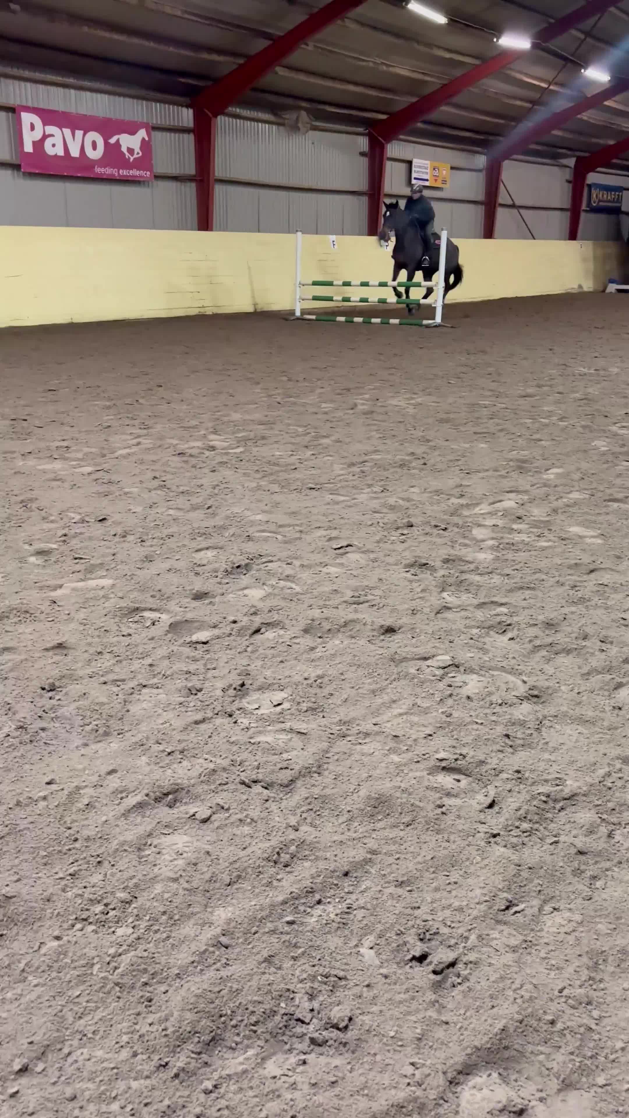 Allround hästar till salu: Snällaste Doris tillsalu - Video 4