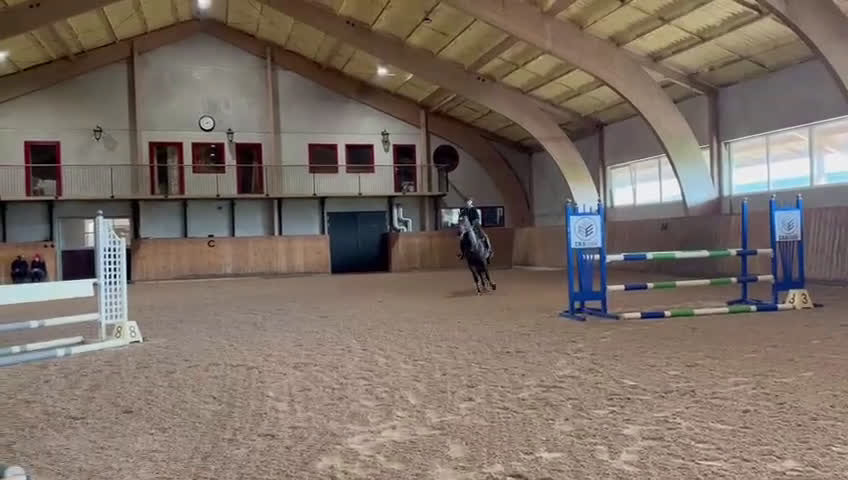 Hoppning hästar till salu: Härlig häst med mycket energi i Helsingborg - Video 1