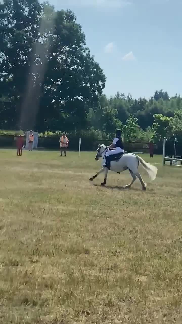 Allround hästar till salu: Vår underbar Älva letar nu nytt hem🌟 - Video 1