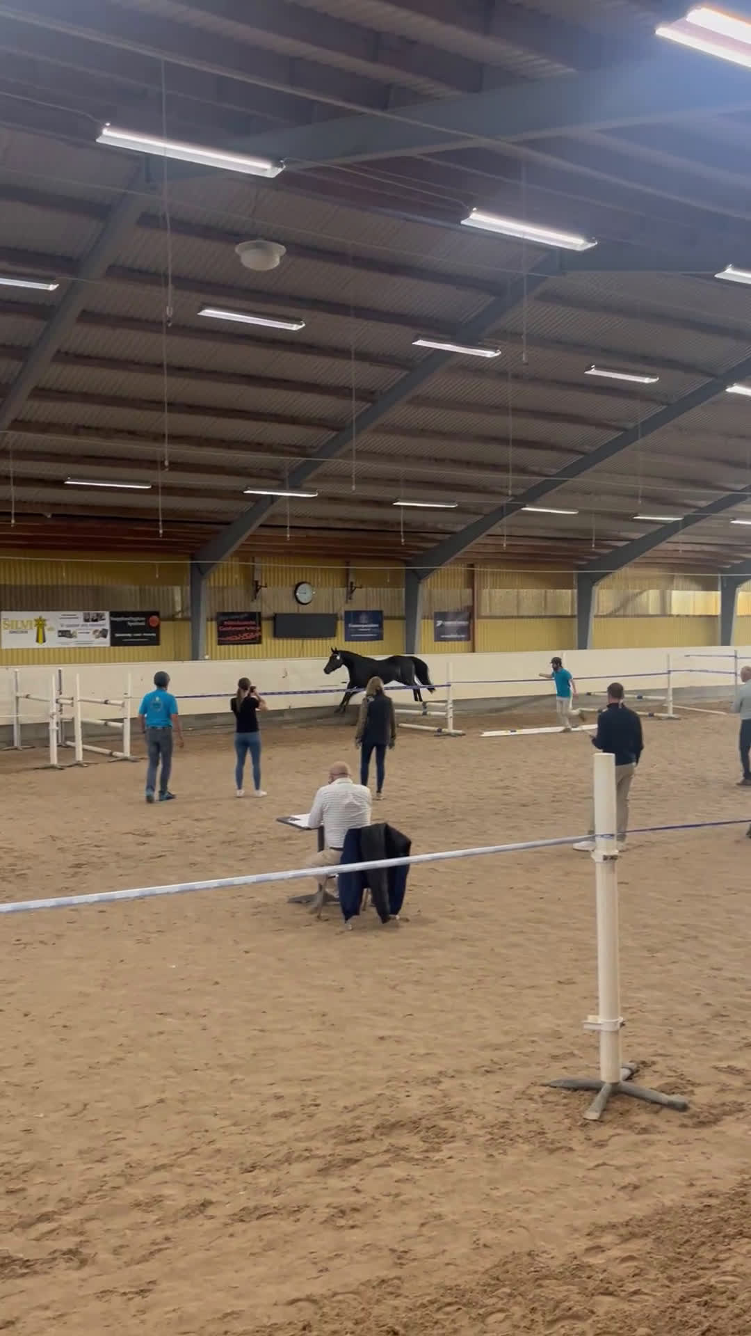 Allround hästar till salu: Härlig unghäst med kvalitéer  i Broby - Video 1