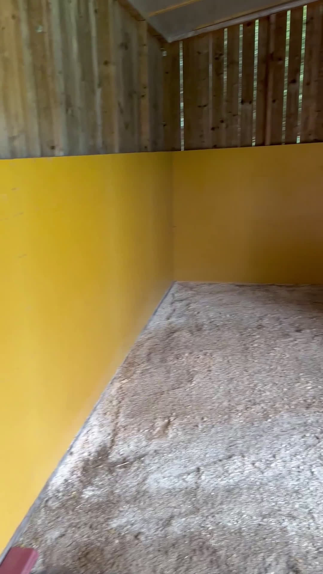  stallplats finnes: Sommarbete - Video 2