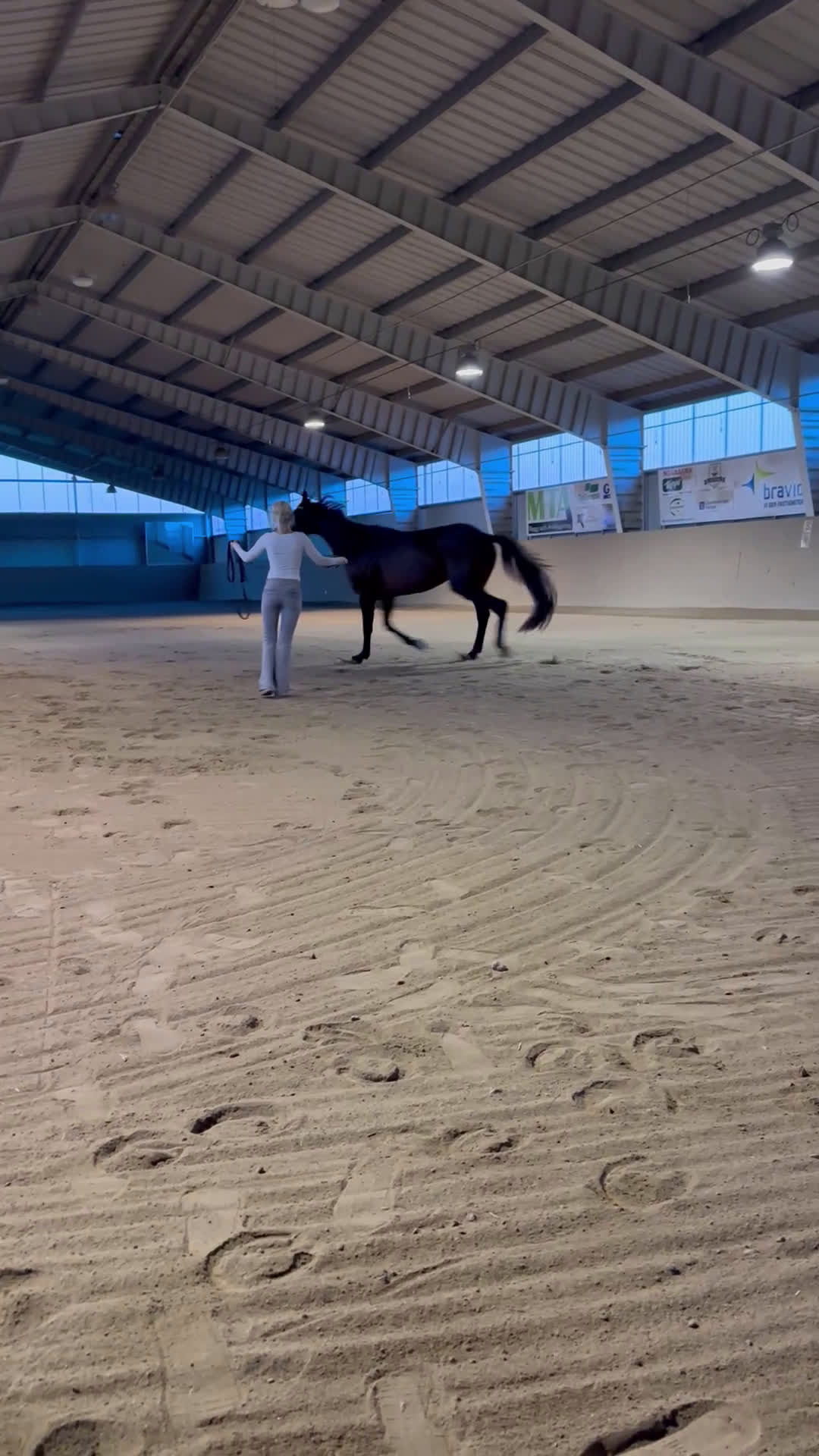 Övrigt hästar till salu: En häst med hjärta av guld - Video 1