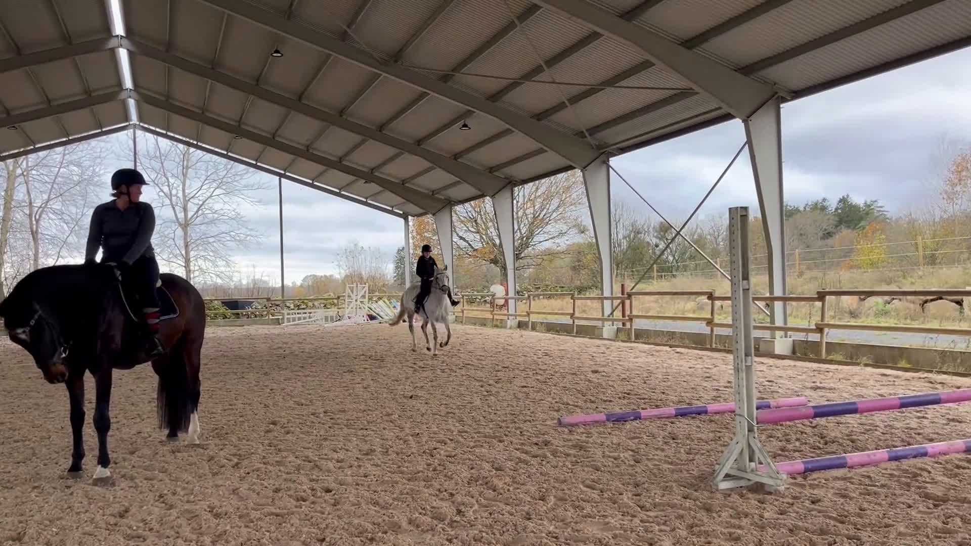 Allround hästar till salu: Snäll D-ponny för ridning och avel! i Broby - Video 2
